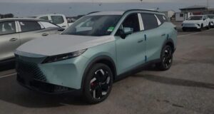 Los autos chinos inundan el puerto de TZ