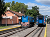 Tren Mitre: Redujeron frecuencias y formaciones