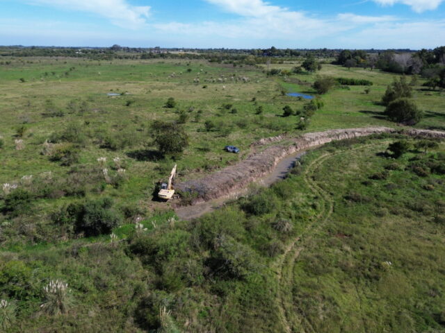 DCIM\100MEDIA\DJI_0019.JPG
