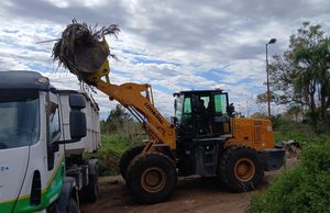 Se realizaron nuevas acciones de saneamiento y erradicación de microbasurales