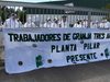 Se agrava la crisis de Granja Tres Arroyos: ofreció pagar parte de los salarios con pollos