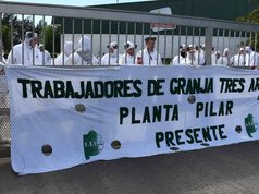 Se agrava la crisis de Granja Tres Arroyos: ofreció pagar parte de los salarios con pollos