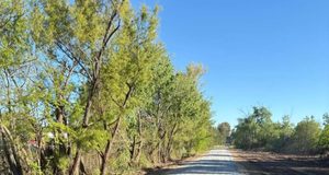 La Voz del campo: Avanzan trabajos de caminería rural en distrito